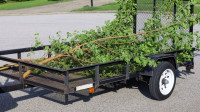 First State Capital Tree Service