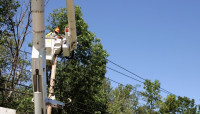 Evergreen State Tree Removal Service