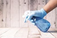 Lancaster Mold Removal Solutions