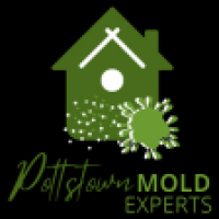 Mold Remediation Pottstown Results