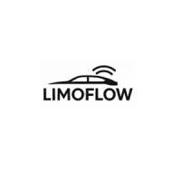 limo website development