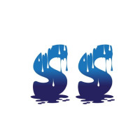 Stain Steamer Carpet & Upholstery Cleaning