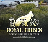 Royal Tribes K9