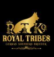 Royal Tribes K9