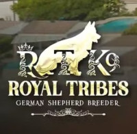Royal Tribes K9