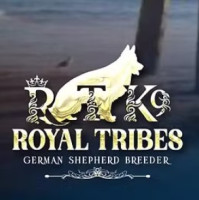 Royal Tribes K9