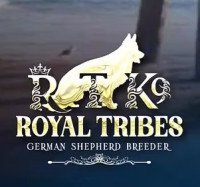 Royal Tribes K9
