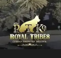 Royal Tribes K9