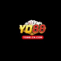 YO88