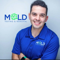 Mold Testing Experts Los Angeles