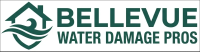 Bellevue Water Damage Pros