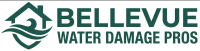 Bellevue Water Damage Pros