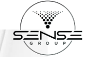 Professional video surveillance camera installation services