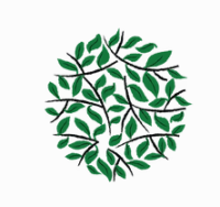 Asavi India