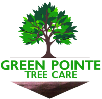 Green Pointe Tree Care
