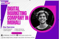 best digital marketing agency in kharar