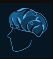 Mind Therapy Works