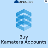 Why Ought to You Purchase Kamatera Accounts?