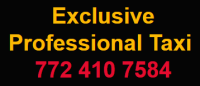 Exclusive Professional Taxi and Transportation Service