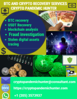 RECOVERY OF STOLEN COINS WITH CRYPTO PANDEMIC HUNTER