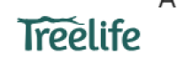 Comprehensive Due Diligence Services for Businesses