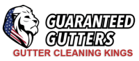 Chicago Gutter Repair