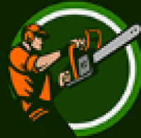 24/7 Emergency Tree Service in North Branford CT