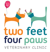 Avian Bird Vets Near Me | Trusted Dubai Clinic