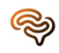 Digital Minds On