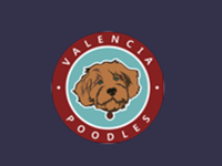 Valencia Poodles