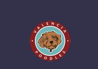 Valencia Poodles
