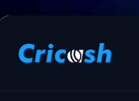 Cricash24: Your Go-To Interactive Hub for Sports and Strategy Play