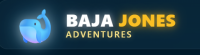 Whale watching in Baja Lagoons