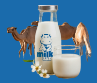 Buy Camel Milk UAE | Fresh & Pure Camel Milk Delivery by a2milkuae