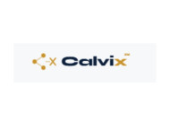 Calvix Technology Solutions