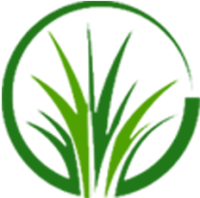 Sod Pros Landscaping (Simpsonville)