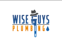 Wise Guys Plumbing