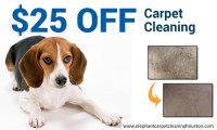 Elephant Carpet Cleaning Houston