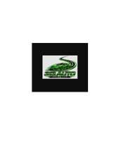 313 auto sales llc