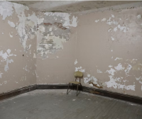 Mold Remediation Provo UT Solutions