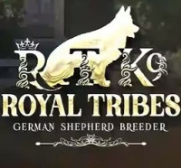 Royal Tribes K9