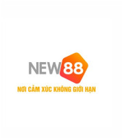 New88 diy