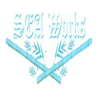 SEA Works Collision