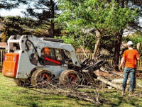 Westfield Tree Care Specialists