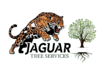 Jaguar Tree Services