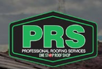 Professional Roofing Services