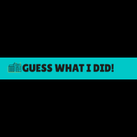 GuessWhatIDid