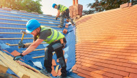 Yellow Rose Roofing Co