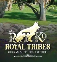 Royal Tribes K9