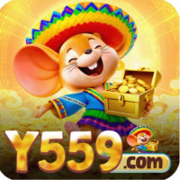 y559